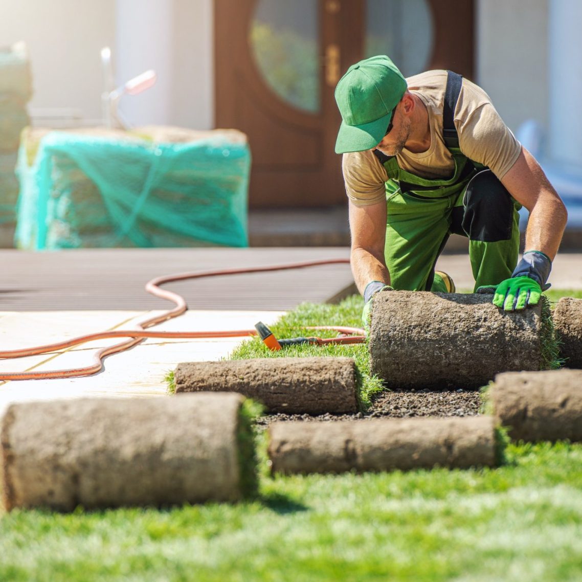 Gärtner verlegt Rollrasen in einem Garten, mit Werkzeug und Gartenschlauch im Hintergrund.