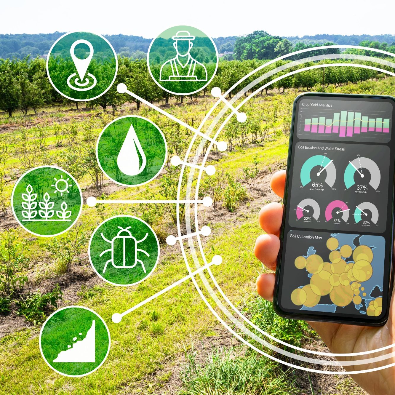 Hand hält Smartphone mit Illustrationen zur Pflanzenüberwachung in einem Feld.